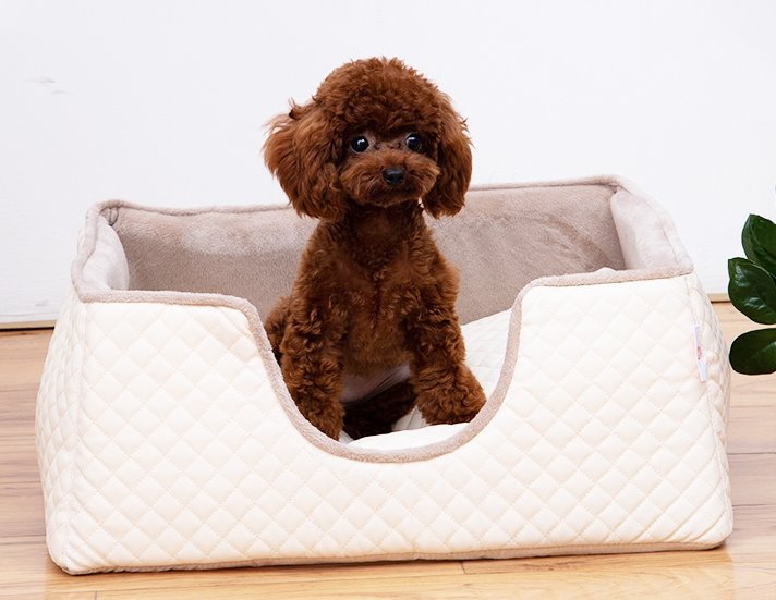 Luksusowe podwyższone łóżko dla psa