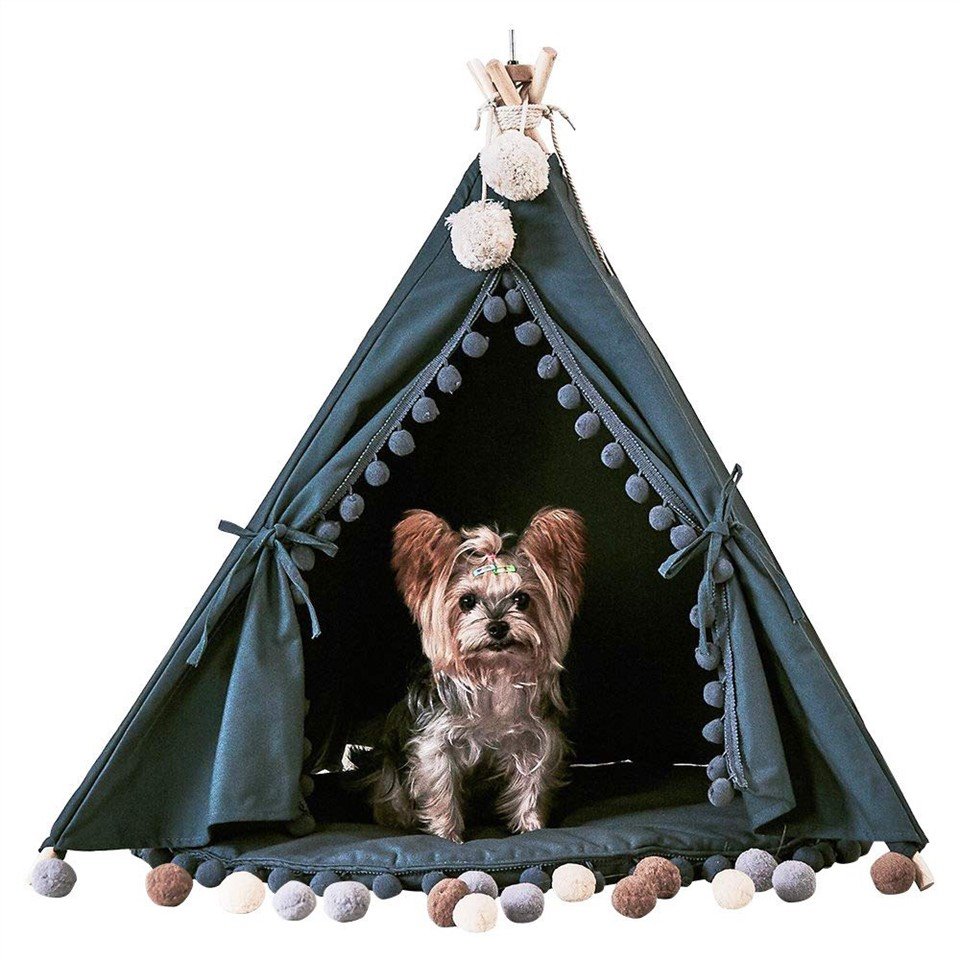 Namiot mody dla zwierząt domowych